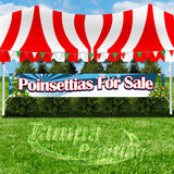 Poinsettias For Sale XL Banner