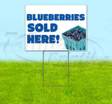 Blueberries Yard Sign