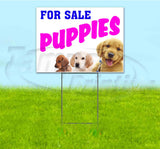 Puppies For Sale Yard Sign