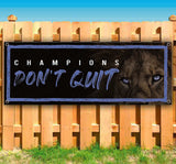 Lion Champions Don't Banner