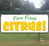 Fresh Citrus Banner