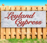 Leyland Cypress Banner
