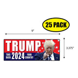 Trump 2024 Sticker