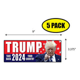Trump 2024 Sticker