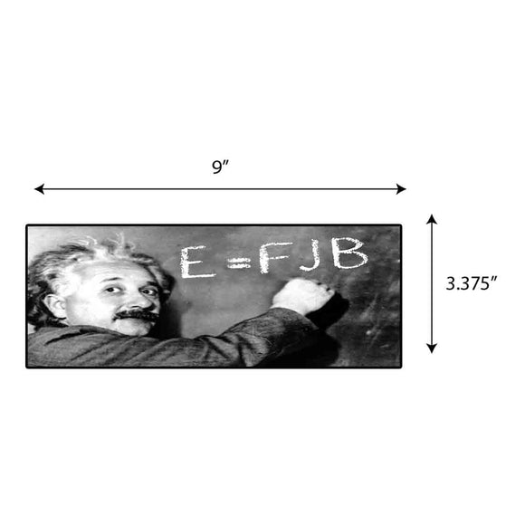 Einstein FJB Sticker