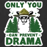 Only You Can Prevent Drama T-Shirt