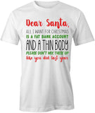 Dear Santa T-Shirt