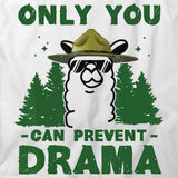 Only You Can Prevent Drama T-Shirt