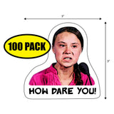 Greta How Dare You Sticker