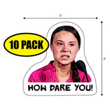 Greta How Dare You Sticker