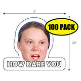 Greta How Dare You Sticker