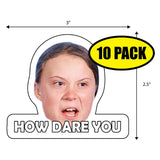 Greta How Dare You Sticker