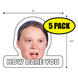 Greta How Dare You Sticker